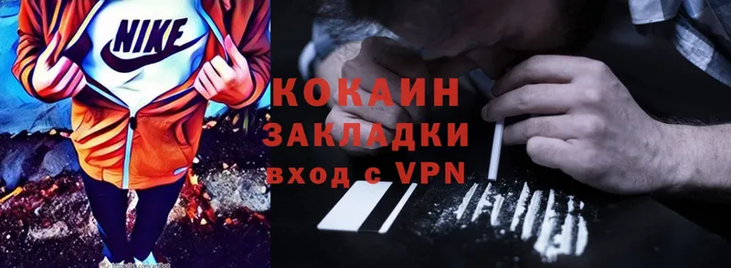 Cocaine FishScale  даркнет сайт  Полярный 